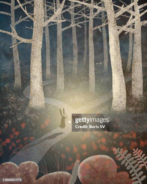 rabbit in the dark forest - ana silva bildbanksfoton och bilder