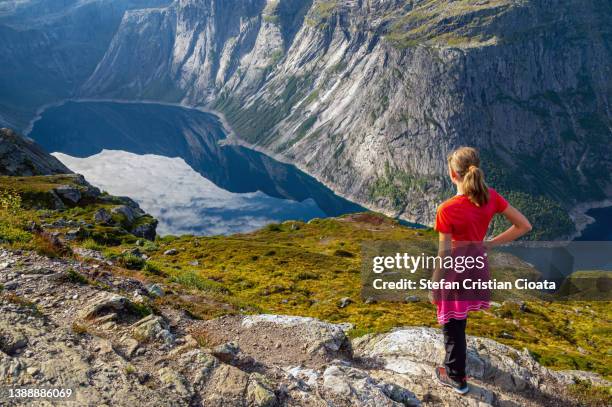 girl admiring ringedalsvatnet lake in norway - bergen foto e immagini stock