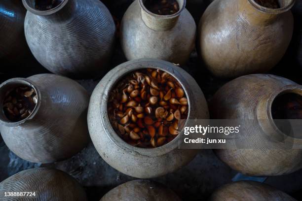 pickles made in neatly arranged clay pots - panchina stockfoto's en -beelden