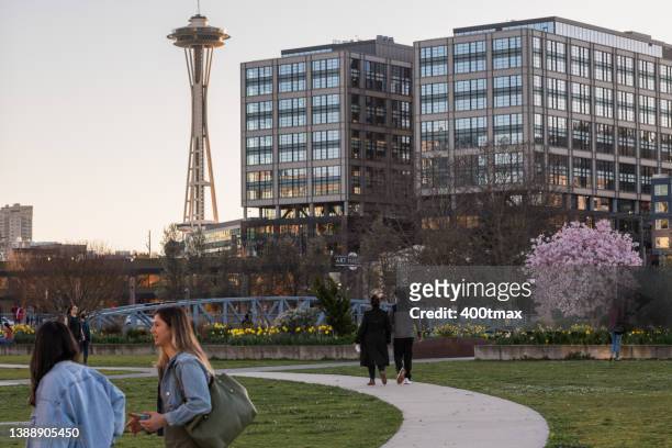 spring in seattle - seattle in the spring stock pictures, royalty-free photos & images