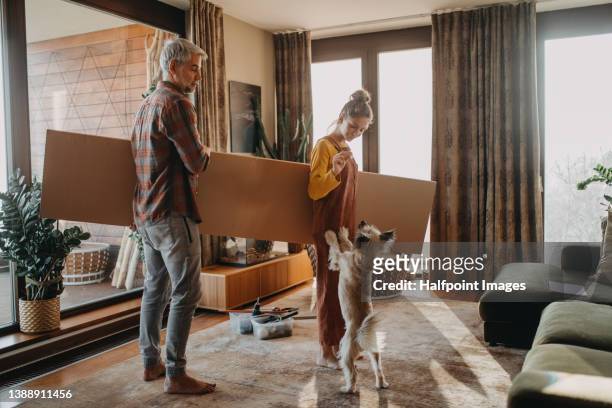 father and teen daughter carrying flat-packed furniture to renovate their apartment. - make a change stock pictures, royalty-free photos & images