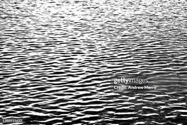 Water Ripple Texture Black And White