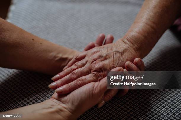 close-up of adult woman holding her senior mother's hand. - holding hands stock pictures, royalty-free photos & images