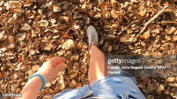 pov of young woman walking through leaves - pov shoes ストックフォトと画像