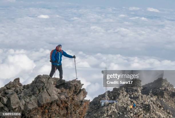 climbing at mount meru, tanzania. - arusha national park 個照片及圖片檔