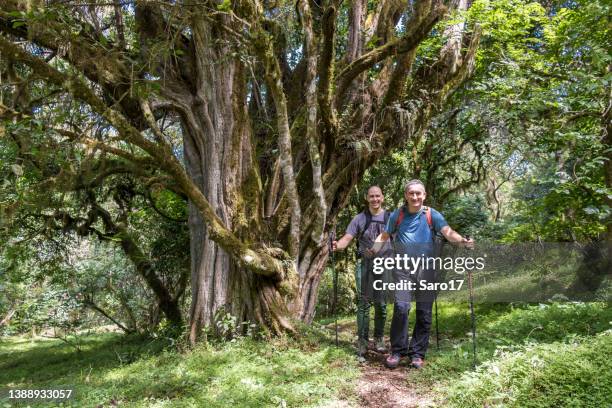 dos excursionistas varones en la selva tropical del monte meru, tanzania. - región de arusha fotografías e imágenes de stock