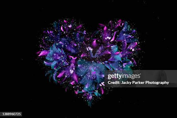 beautiful abstract heart shaped flower image taken against a black background - heart abstract stock pictures, royalty-free photos & images