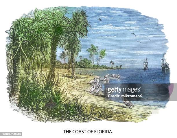 old engraving illustration of the coast of florida, united states - sailboat painting stock pictures, royalty-free photos & images