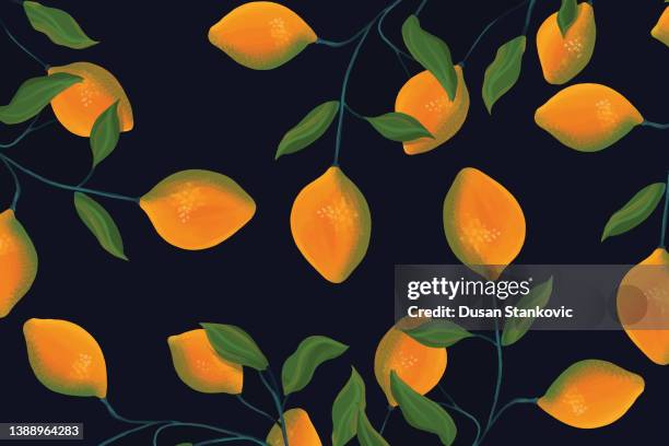 ilustrações de stock, clip art, desenhos animados e ícones de lemon tree - limoeiro