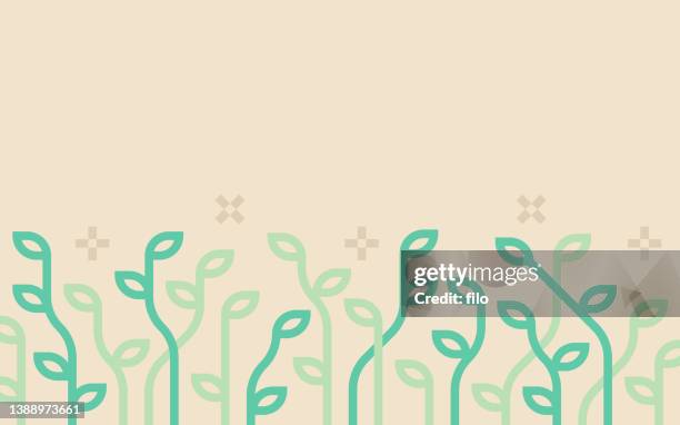 spring growth sprouts plants growing background - soybean stock illustrations