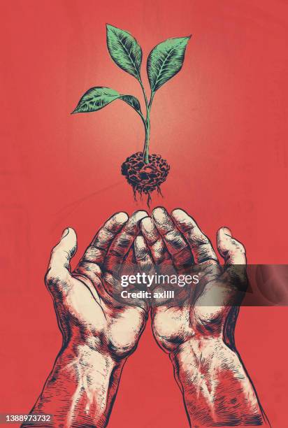 hands holding seedling screen printing - arm reaching stock illustrations
