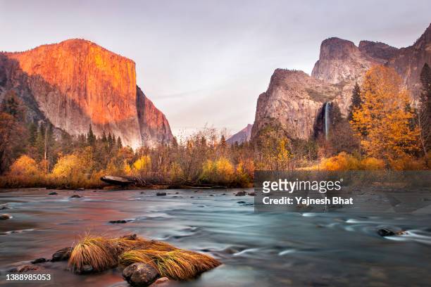 breathtaking view of yosemite valley with half dome and el-capitan during winter from merced river, yosemite national park, ca - mariposa county photos et images de collection