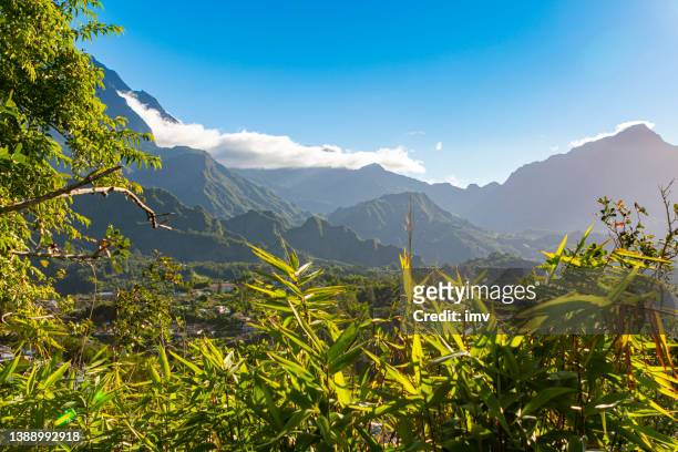 hellbourg views from forest bélouve ascension path, reunion island - la reunion stock pictures, royalty-free photos & images
