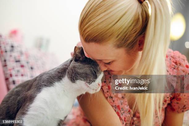 une femme propriétaire d’animal câline un chat - feline photos et images de collection