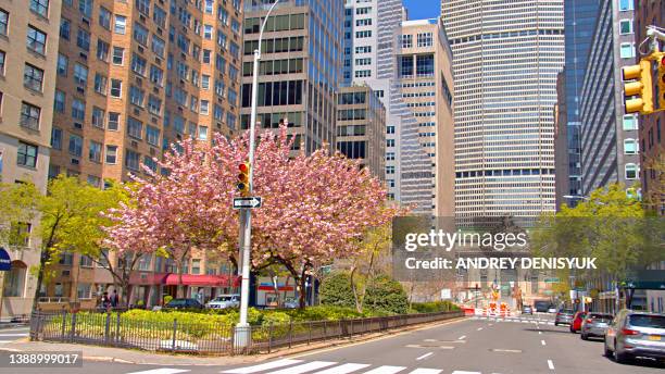 summer green ark avenue. new york - park ave stock pictures, royalty-free photos & images