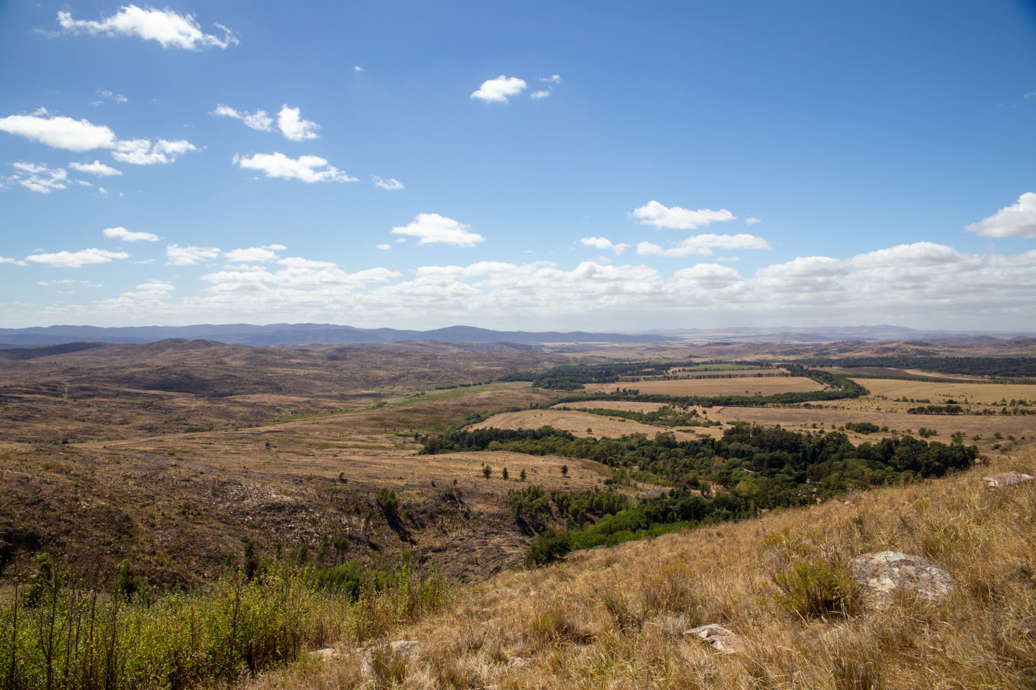 anserma landscape