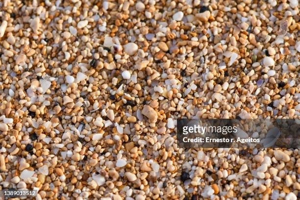 close up picture of grains of beach sand - minirock stock pictures, royalty-free photos & images