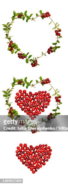 hearts of lingonberries and cranberries isolated on a white background - cranberry heart stock-fotos und bilder