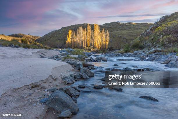 autumn trees in river,scenic view of rocks against sky during sunset,cordoba,argentina - cordoba - argentina imagens e fotografias de stock