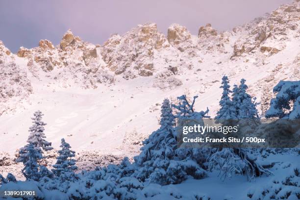 baldy bowl,scenic view of snow covered mountains against sky,mt baldy,california,united states,usa - san gabriel mountains stock pictures, royalty-free photos & images