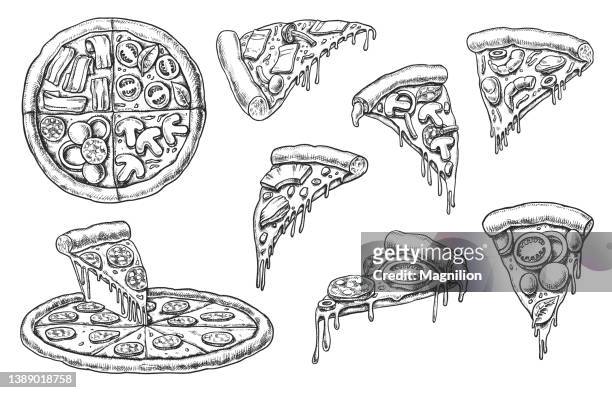 stockillustraties, clipart, cartoons en iconen met pizza vector set - basil