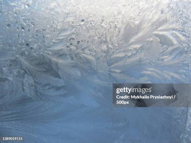 the frosty pattern on the glass,forms a stunning vegetal look winter - texture vegetal stock pictures, royalty-free photos & images