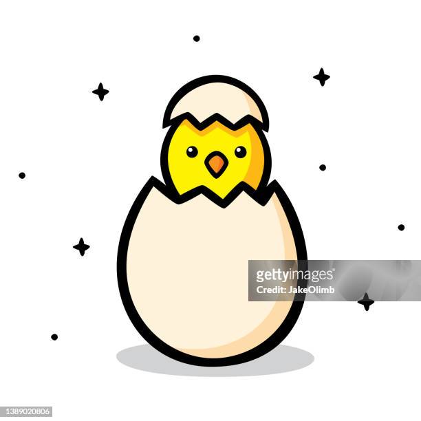 küken in egg doodle 6 - chicken decoration stock-grafiken, -clipart, -cartoons und -symbole