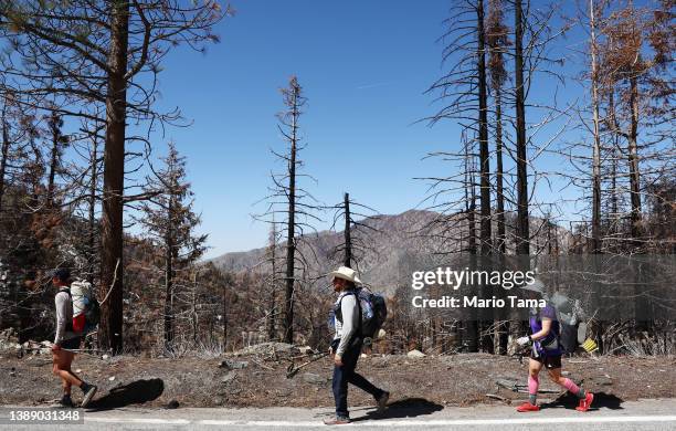 Jacob Pepper aka Moshpit, Buckley Willis aka Triple B, and Jackie Nicole Anglin-Simon aka Songbird, who are hiking the Pacific Crest Trail, pass...