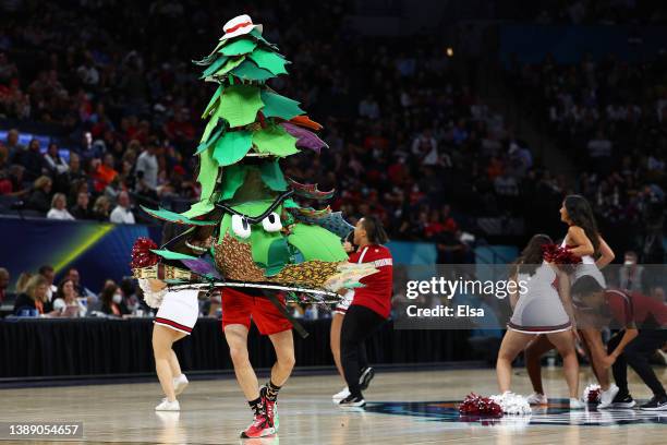 William Rothacker Jr 351 Stanford Cardinal Mascot Stock Photos, High-Res Pictures, and ...