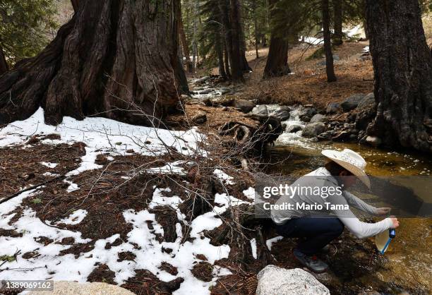 Buckley Willis aka Triple B, who is hiking the Pacific Crest Trail, collects stream water which he will filter for drinking, near melting snow in a...