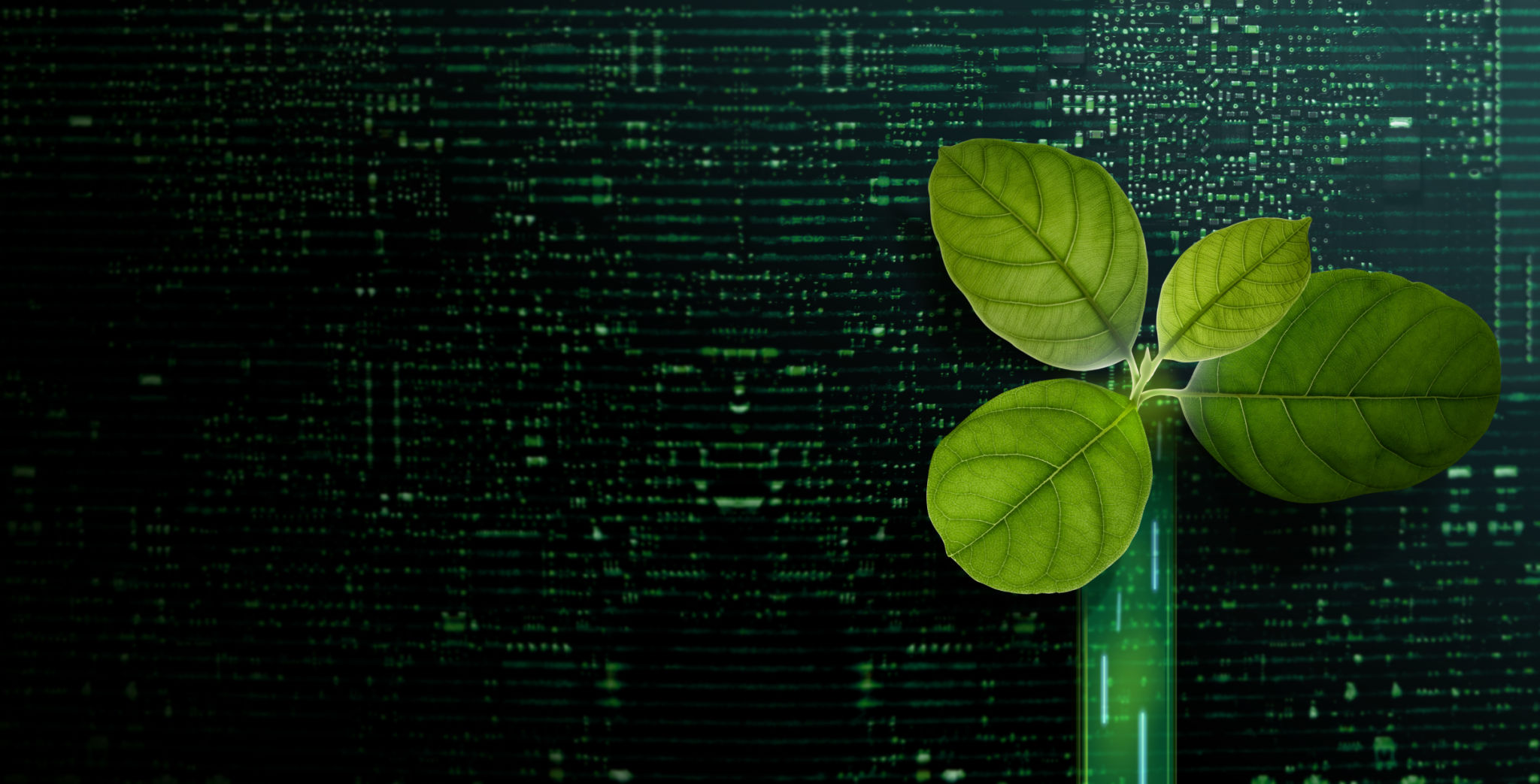 blockchain sustainability