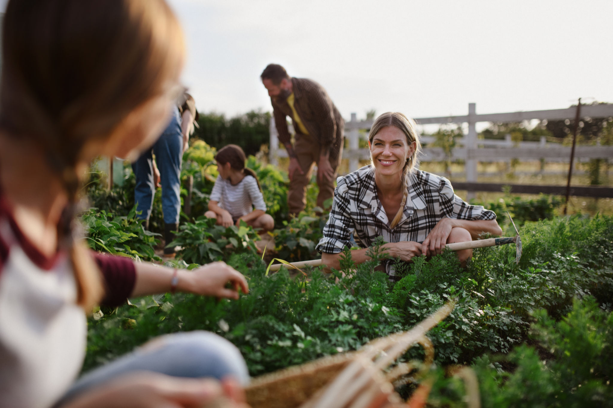community farm teamwork