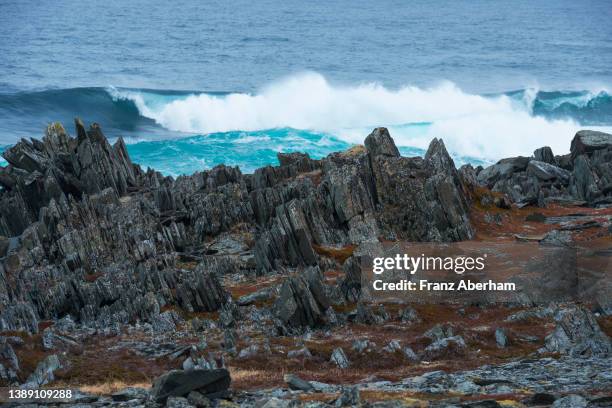 barents sea and rocky coast, varanger peninsula, norway - schist stock-fotos und bilder