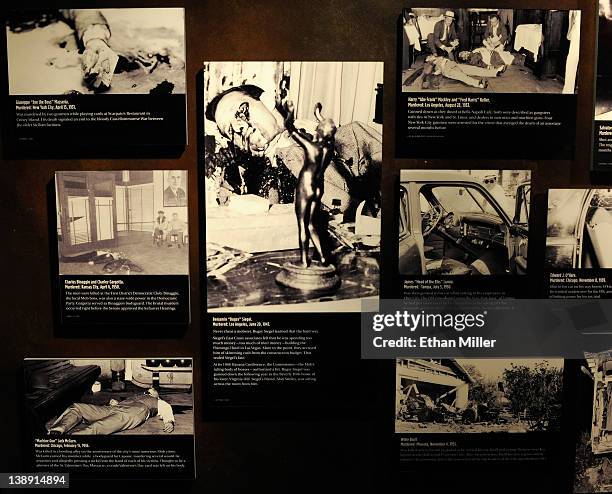 Graphic images of mob-associated murders, including the 1947 murder of Benjamin "Bugsy" Siegel , are displayed at The Mob Museum February 13, 2012 in...