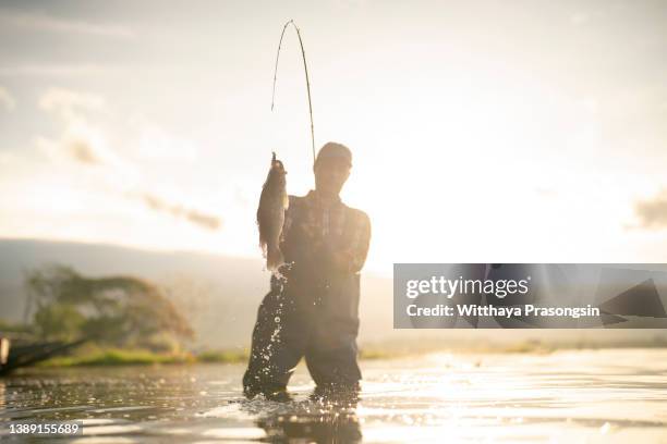 fly fishing - trout stock pictures, royalty-free photos & images
