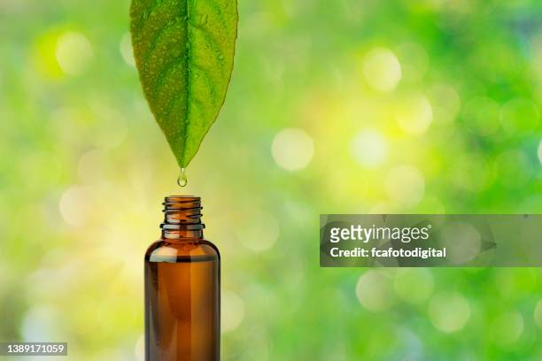 essential oil dropoing from leaf to bottle against defocused foliage - herbs stock pictures, royalty-free photos & images