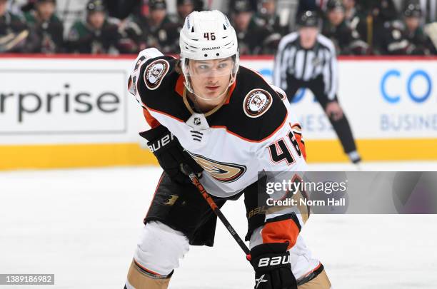 Trevor Zegras of the Anaheim Ducks gets ready during a face off against the Arizona Coyotes at Gila River Arena on April 01, 2022 in Glendale,...