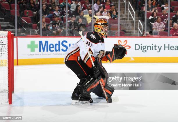 Anthony Stolarz of the Anaheim Ducks gets ready to make a save against the Arizona Coyotes at Gila River Arena on April 01, 2022 in Glendale, Arizona.