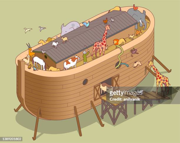 noah's ark - sheep funny stock illustrations