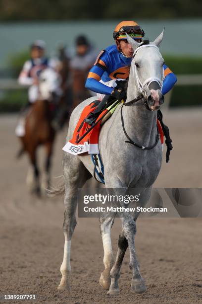 White Abarrio, ridden by Tyler Gaffalione, is brought to the starting gate during the Florida Derby at Gulfstream Park on April 02, 2022 in...