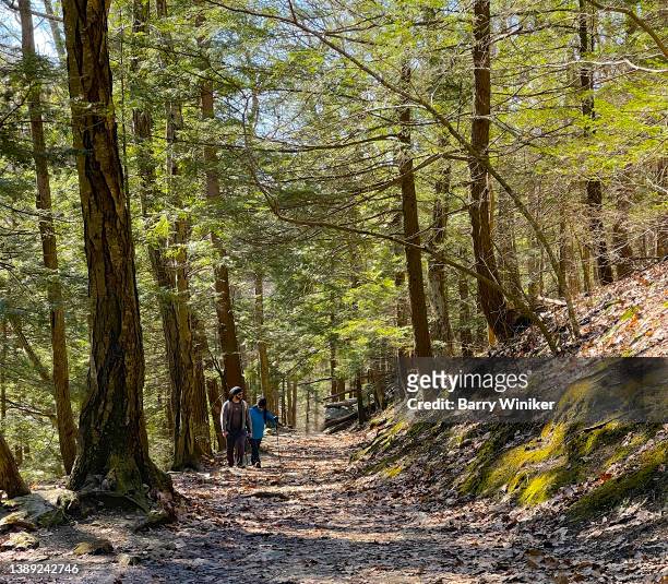 hikers on trail in public park, copake falls - new york spring spectacular stock-fotos und bilder