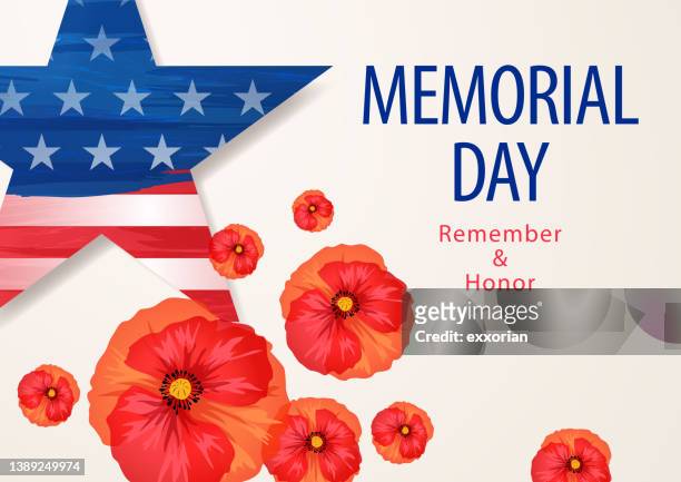 memorial day us star and poppies - memorial day stock illustrations
