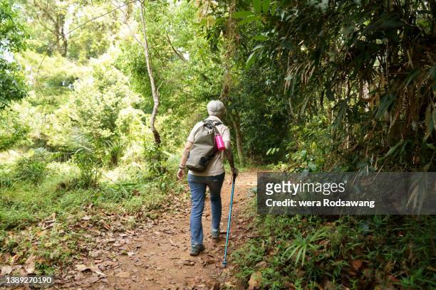 retirement woman inspire living for health hiking adventure through the nature trails - hiking pole stockfoto's en -beelden