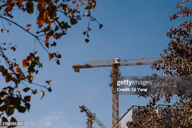 construction site - grand plans for new home stockfoto's en -beelden