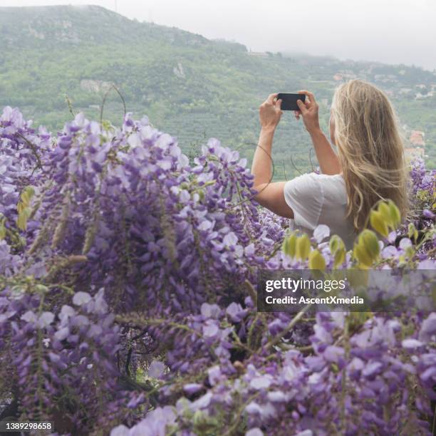 mature woman takes photo with smart phone on hilltop - long stock pictures, royalty-free photos & images