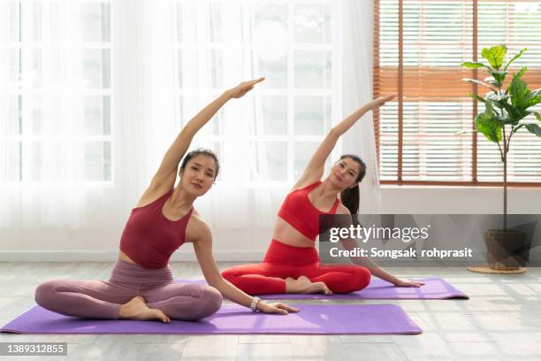young adult women practicing yoga together in a yoga studio - yoga studio - fotografias e filmes do acervo