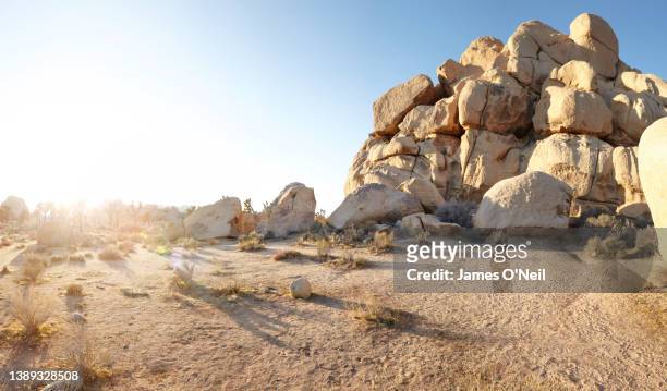 open plateau with background rock formations and joshua trees, joshua tree national park - sandstone stock pictures, royalty-free photos & images