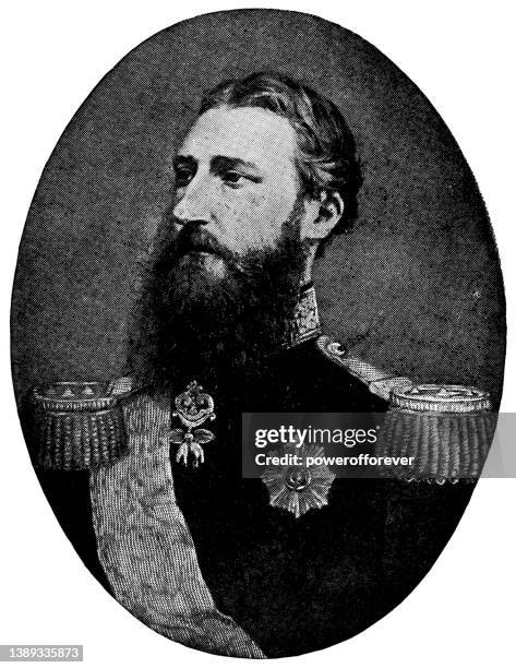 leopold ii, king of belgium - 19th century - belgian army stock illustrations