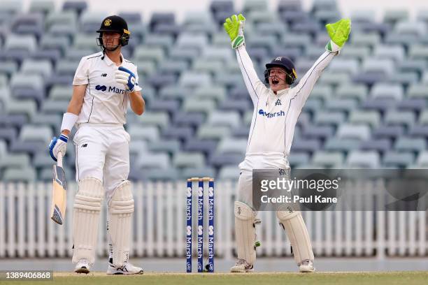 Sam Harper of Victoria appeals successfully for the wicket of Joel Paris of Western Australia during day five of the Sheffield Shield Final match...