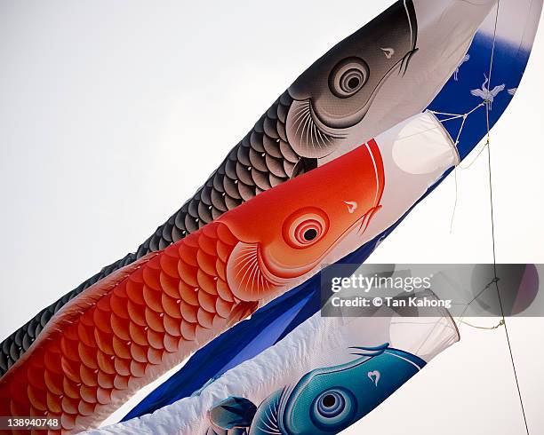Three Fish Flag 68 Koinobori Flag Stock Photos, High-Res Pictures, and Images - Getty ...